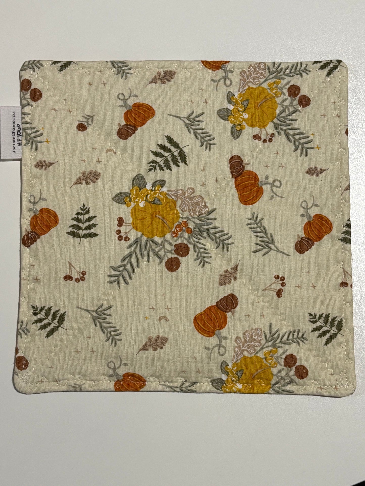Pumpkin Spice Hot Pad