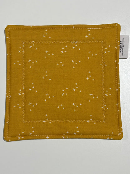 Pumpkin Spice Hot Pad